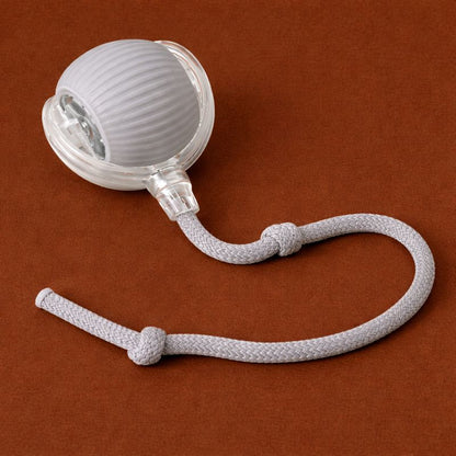 Félisphère™-La balle intelligente