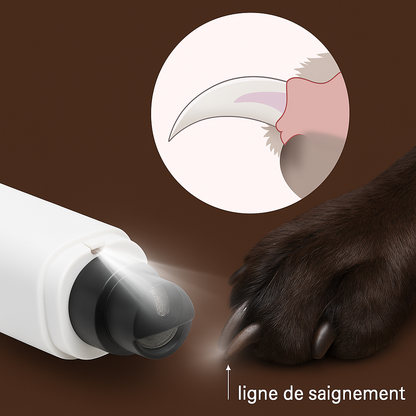 Grifféon™-Limage doux pour animaux