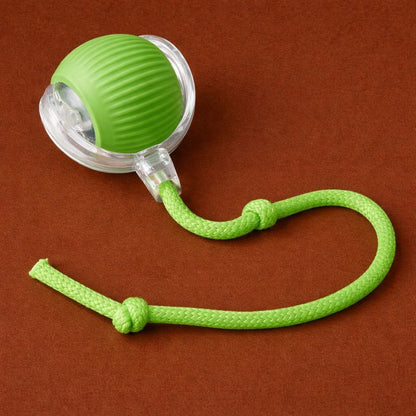 Félisphère™-La balle intelligente