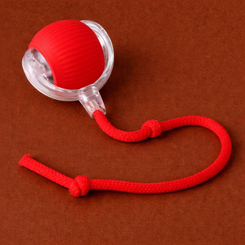 Félisphère™-La balle intelligente