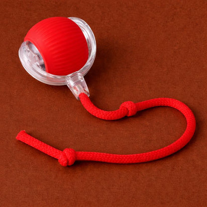 Félisphère™-La balle intelligente